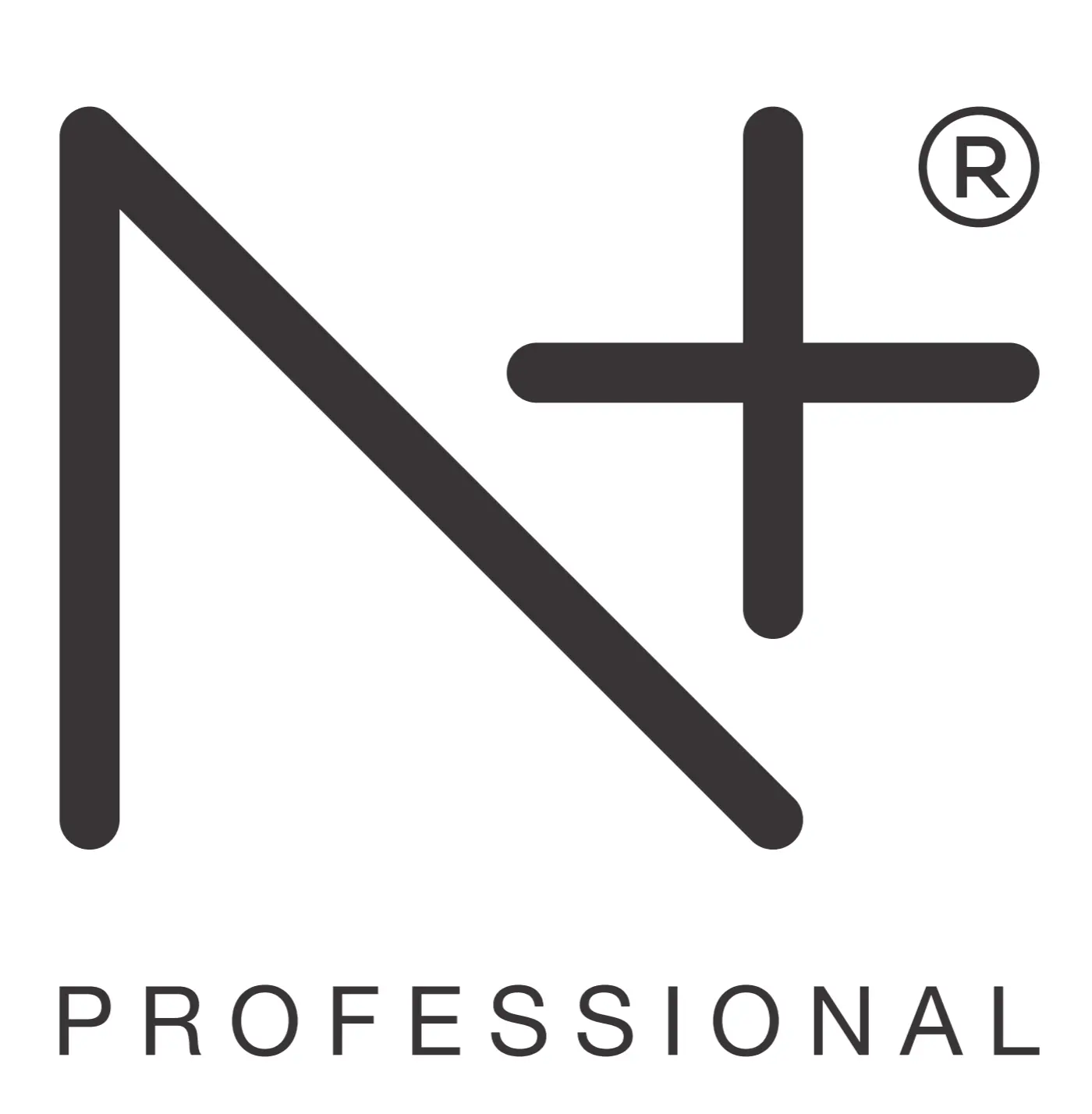 nplusprofessional.com